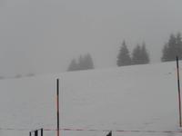 Der erste Schnee