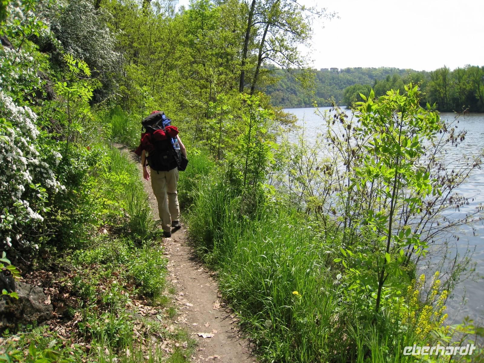 Elbwanderung