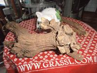 Enzianbrennerei Grassl - Enzian Wurzel