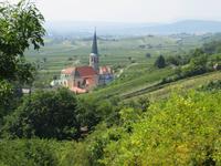 Gumpoldskirchen