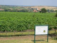 Retzer Land
