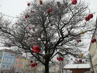 Schneegestöber in Traunstein