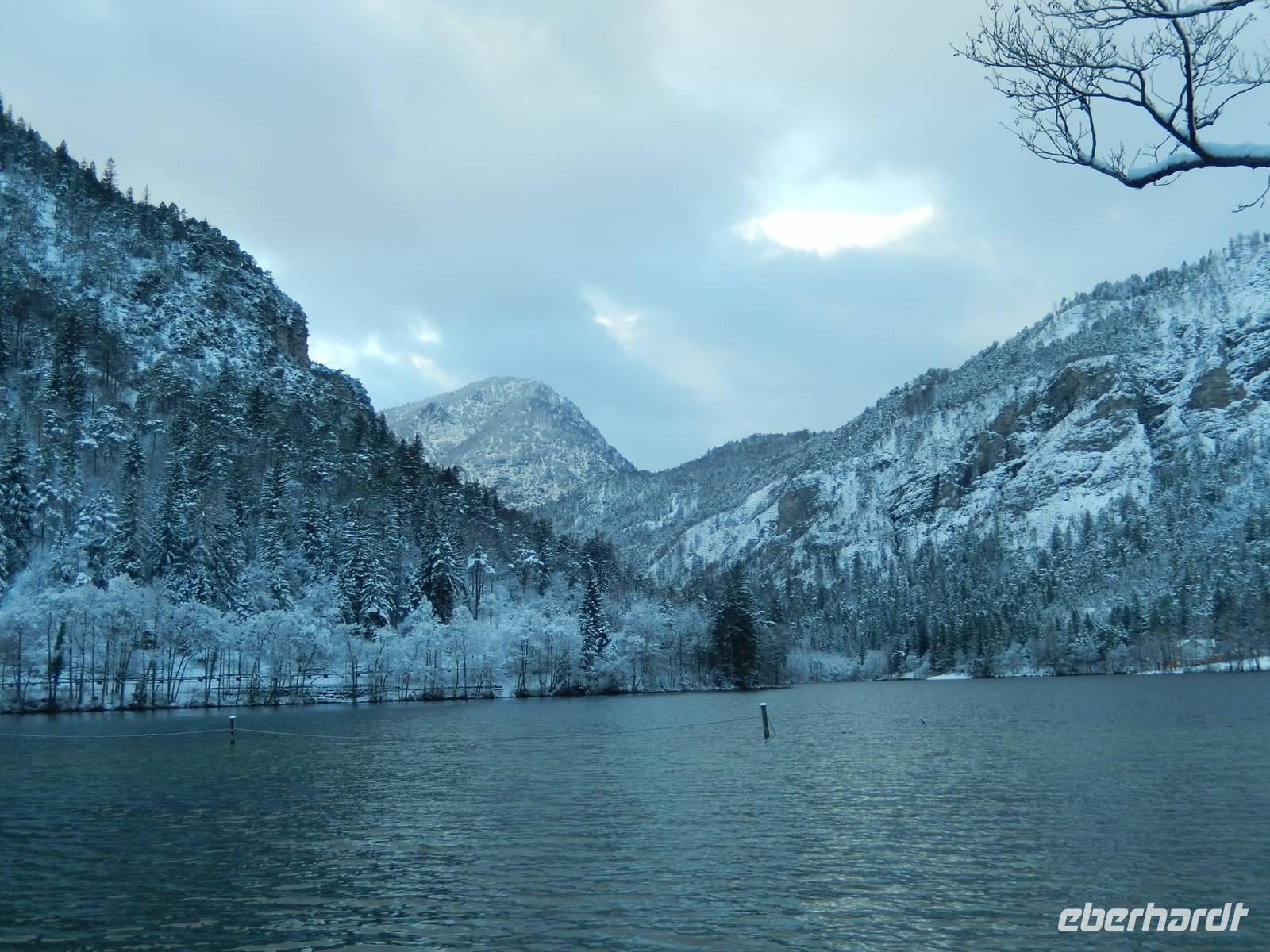 Thumsee