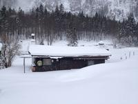 Wanderung zur Griesner Alm im Kaiserbachtal am Wilden Kaiser, Tirol, Österreich