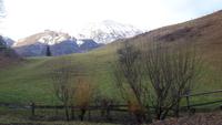 Wanderung zur Niederalm