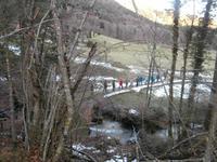 Wanderung zur Niederalm