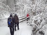 Wanderung zur Niederalm