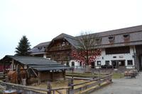 Weihnachtsbesuch auf Gut Aiderbichl