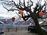 am Hallstätter See