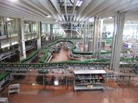 Die riesige Abfüllhalle