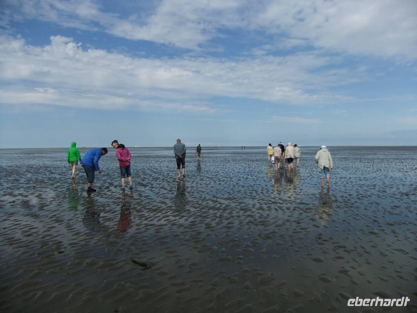 Viele hundert Meter spazieren wir ins Watt