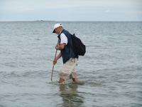 Mit dem Netz sucht Günter Wattbewohner