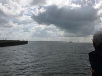 Schifffahrt nach Eckwarderhörne