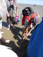 Schillig, Wattwanderung