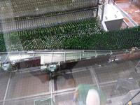 Jever, Brauerei, Flaschenabfüllung