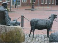 Wittmund, Markt