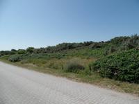 Naturlandschaft auf Hiddensee
