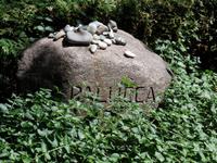 Grab von Gret Palucca in Kloster