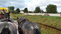 Kutschfahrt auf Hiddensee - Urmeli und Peter
