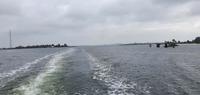 16. Auf dem Wieker Bodden