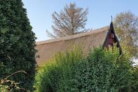 47. Romantik in Snogöbäk