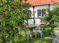 48. Apfelernte in Snogöbäk