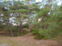 Dueodde Dünen Bornholm