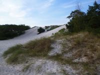 Dueodde Dünen Bornholm