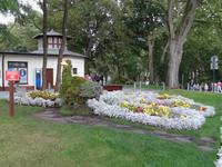 schöne Blumenbepflanzung in Misdroy