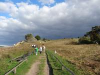 Zickerschen Berge (Halbinsel Mönchgut)