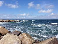 wilde Ostsee