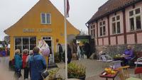 Eisbar in Svaneke