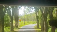 Fahrt durch den Nationalpark Jasmund