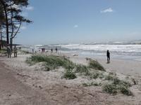 Spaziergang am Strand