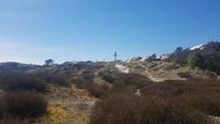 Stranddünen in Dueodde