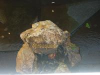 Spreequelle Neugersdorf