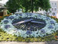 Auch Görlitz hat eine Blumenuhr