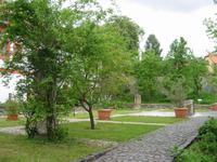 im Garten der Bibelpflanzen