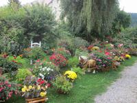 Waltersdorf, Umgebindehaus mit Bauerngarten