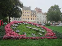 Görlitz, Blumenuhr gegenüber des Theatereingangs