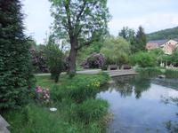 Kurpark Jonsdorf