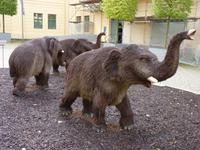 Festung Ehrenbreitstein