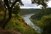 148 Blick vom Loreleyfelsen