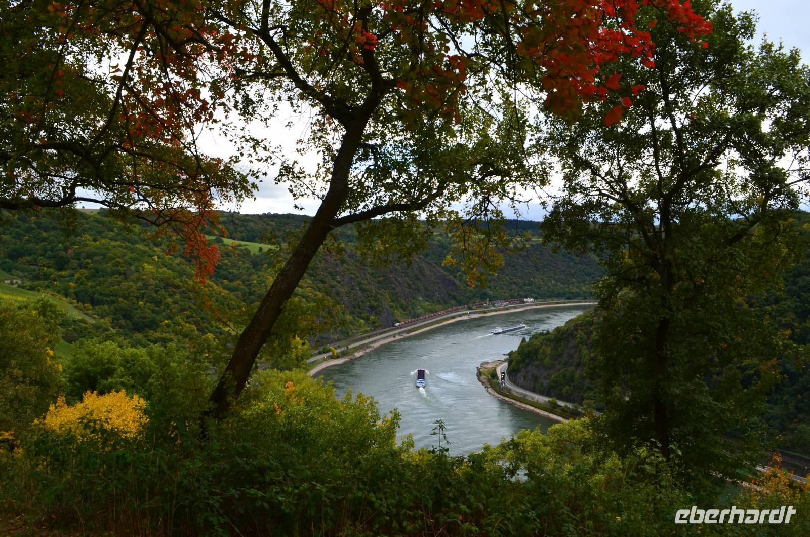 153 Blick vom Loreleyfelsen