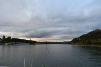 229 Rheintal bei Koblenz