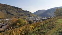 Mosel im Herbst