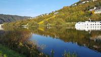 Mosel im Herbst