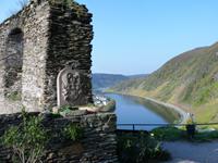 Blick von der Burg Metternich