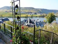 Blick von der Burg Metternich