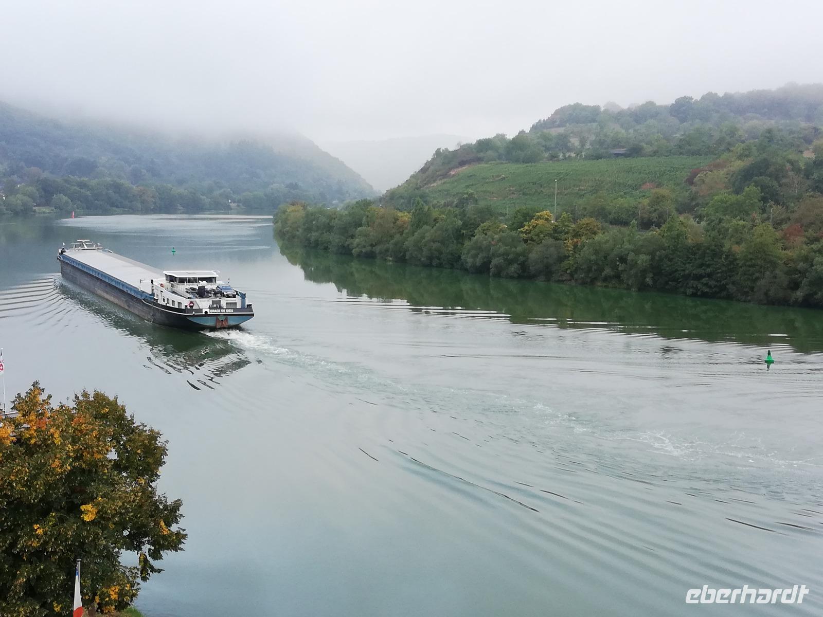 Mosel bei Brodenbach